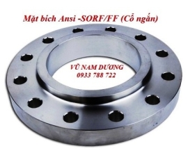 Mặt Bích Ansi #150-SORF/FF (Cổ Ngắn)